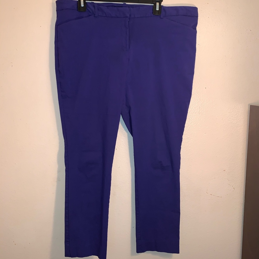 NWOT Worthington Slim Fit Ankle Pants